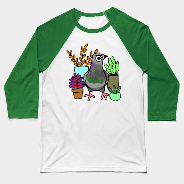 Succulent Pigeon Baseball T-Shirt by ProfessorBees